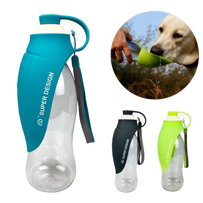 20 OZ Pet Water Bottle Leaf Design