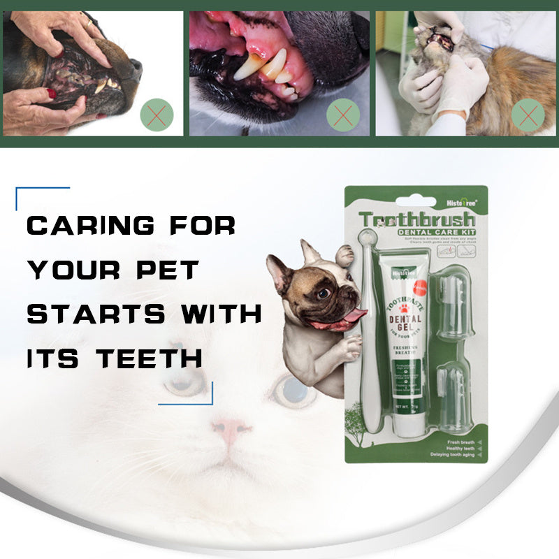 Oral Hygiene Kit For Cats And Dogs 3 Piece Set With Dual Ended Toothbrush, Finger Brush, And Poultry Flavor Tube Of Toothpaste Remove Plaque Tartar Buildup