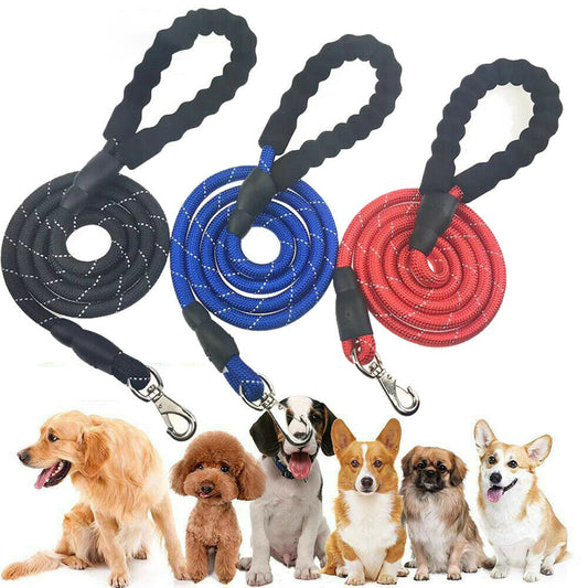 Dogs Leash Running Elasticity Hand Freely Pet Products Dogs Harness Collar Jogging Lead And Adjustable Waist Rope Puppy Leash Lead Training Padded Handle Reflective